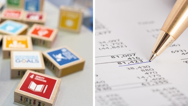 How does the Task Force on Climate-Related Financial Disclosures impact the SDGs?